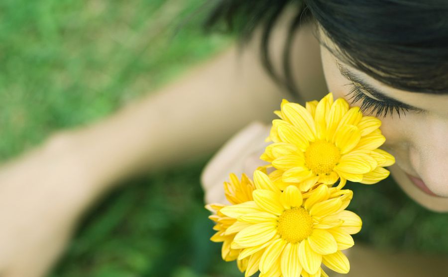 小花仙图片 小花仙图片