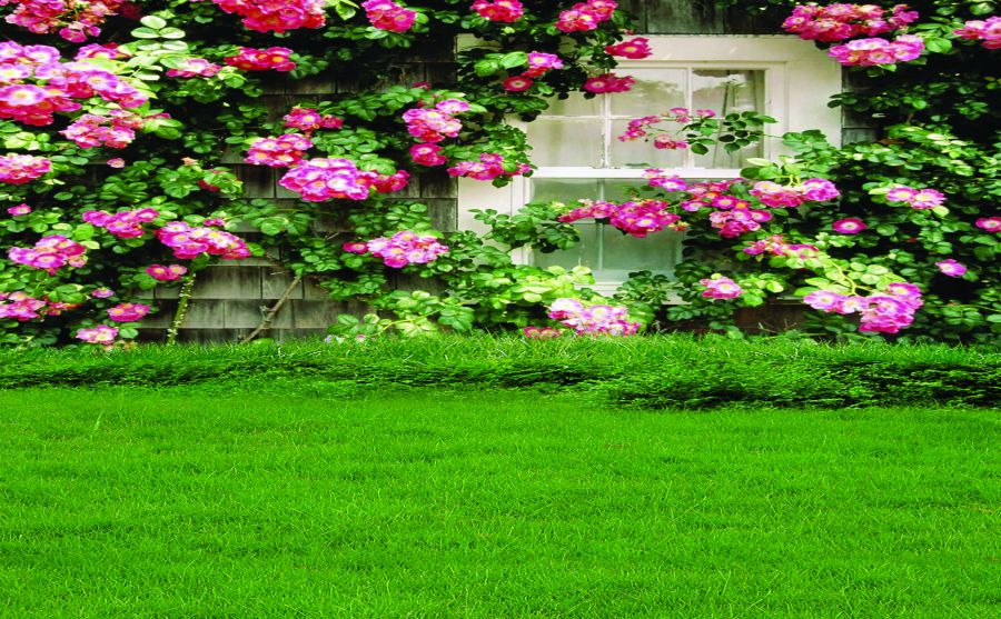 �������ֹ�ͼƬ