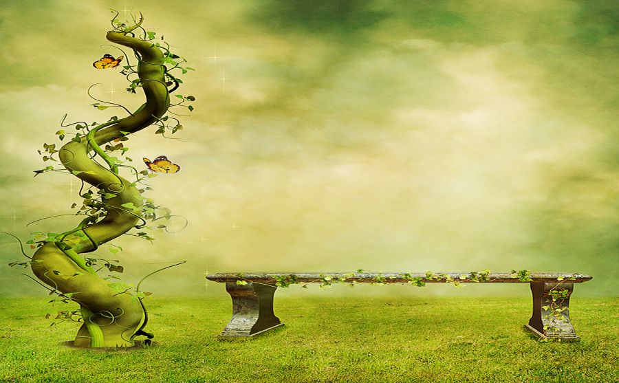 ��ɽ��̳ͼƬ