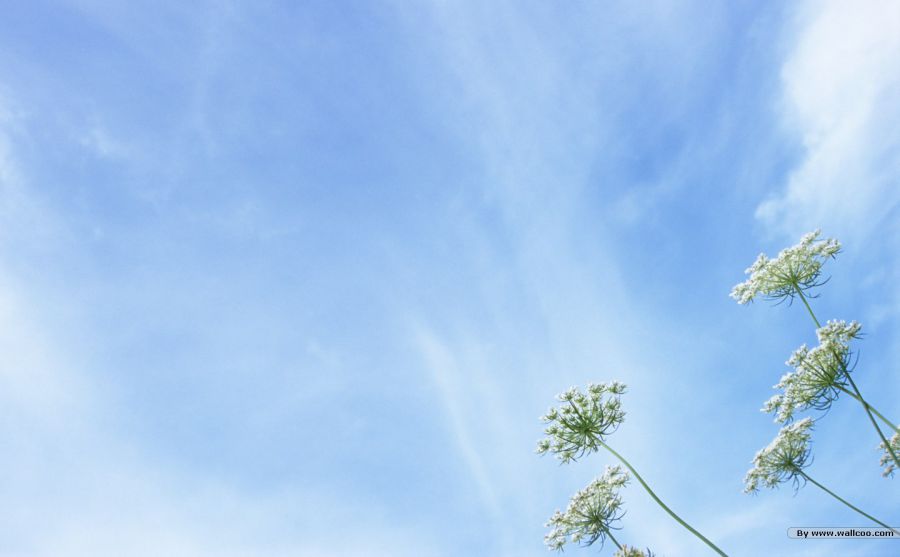 ���ò�ԭ������ͼƬ