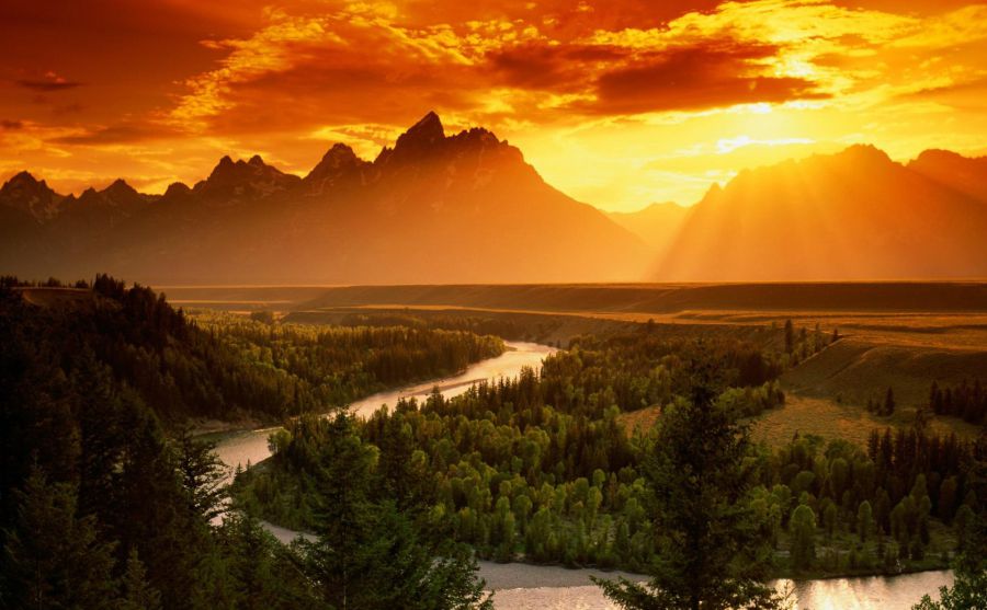 ��������ͼƬ