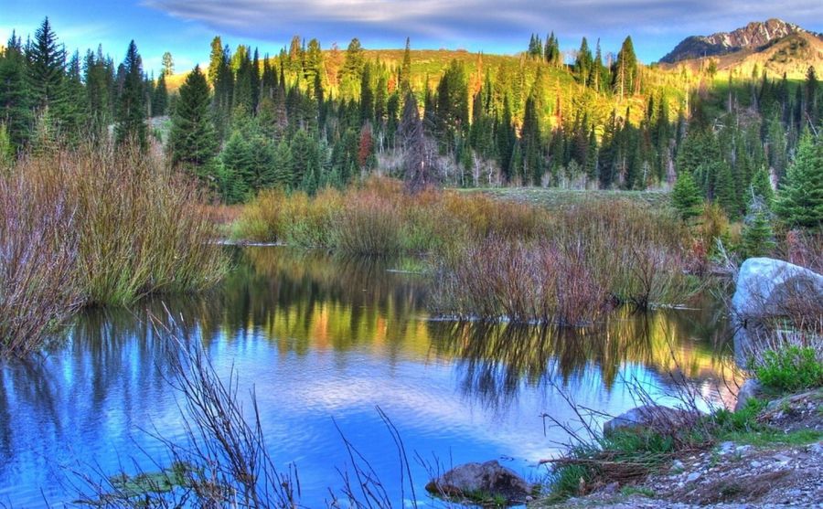 ��Ѷ��Ʊ����ͼƬ