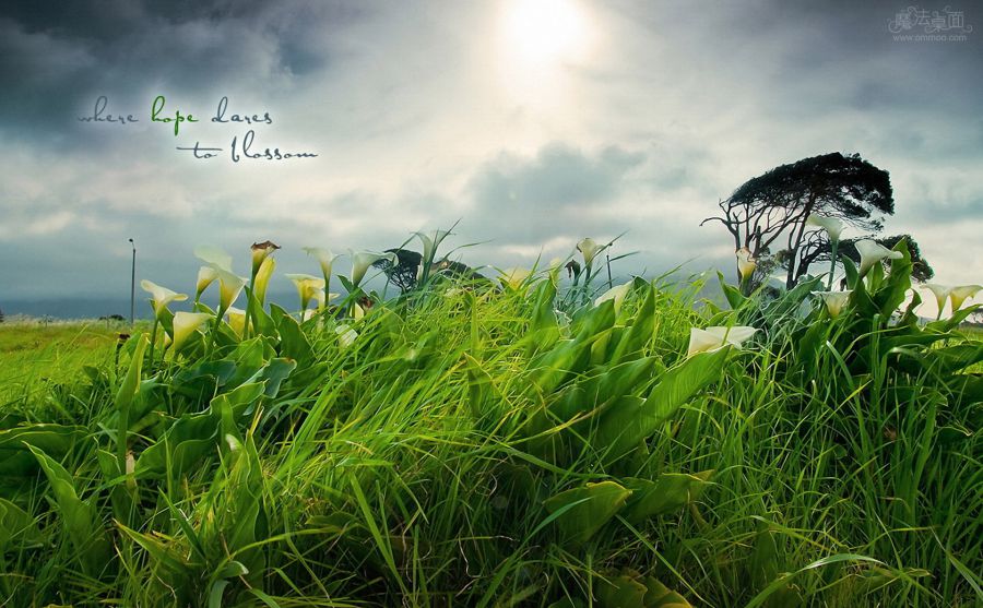 �� �� ֤ͼƬ