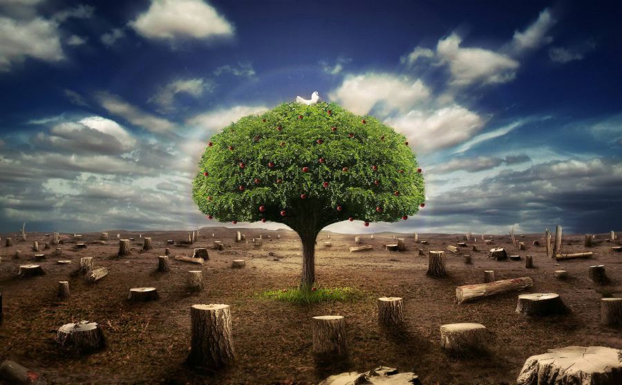 ֩��Ӱ��ͼƬ