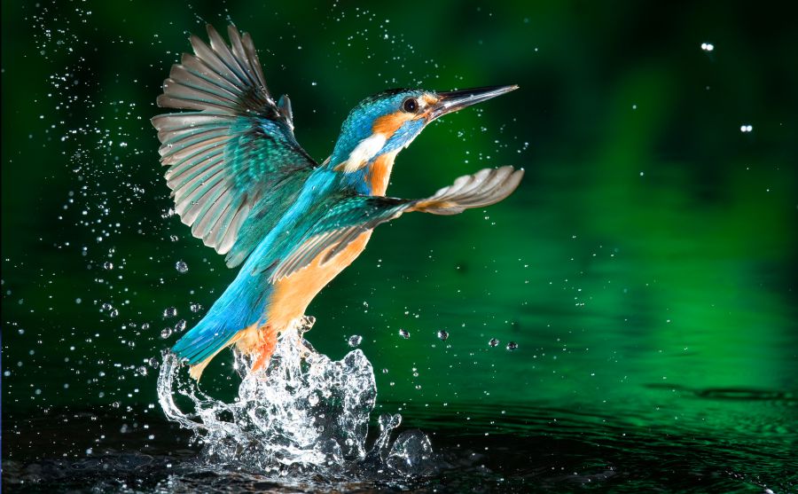 ������ͼͼƬ