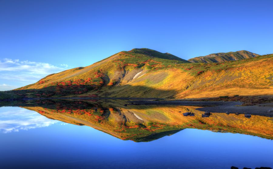 �ٶȹ���ͼƬ