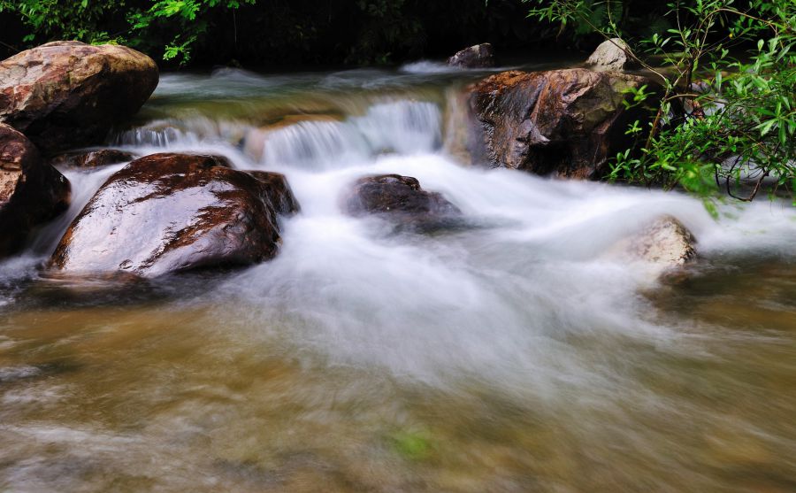 ��ͥҽ������ͼƬ