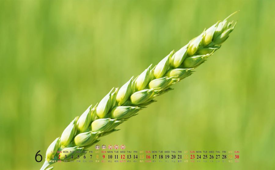 �й�������װ���첿��ѧԺͼƬ