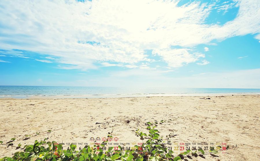 ����ʦ����ѧͼƬ