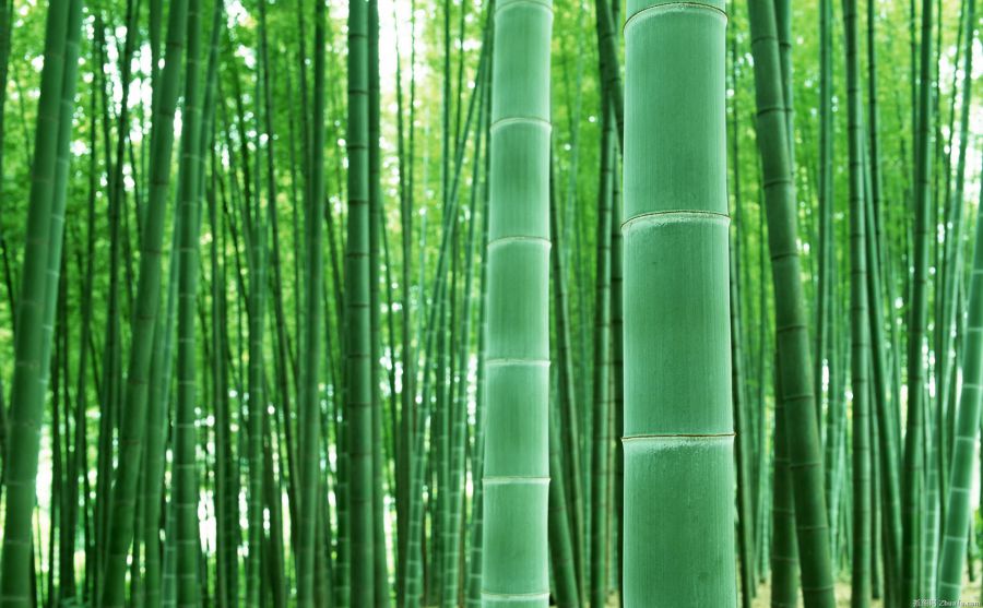 大众点评图片 大众点评图片
