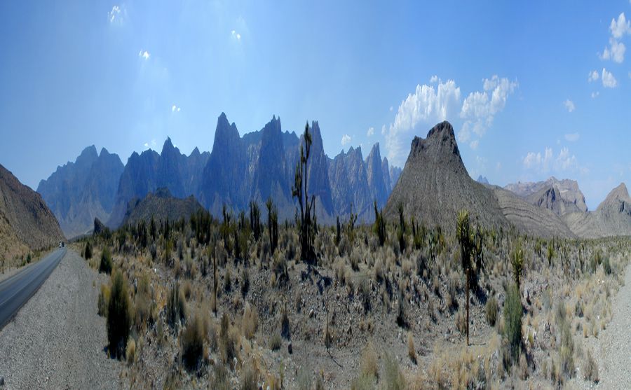 ����֤��ѯͼƬ