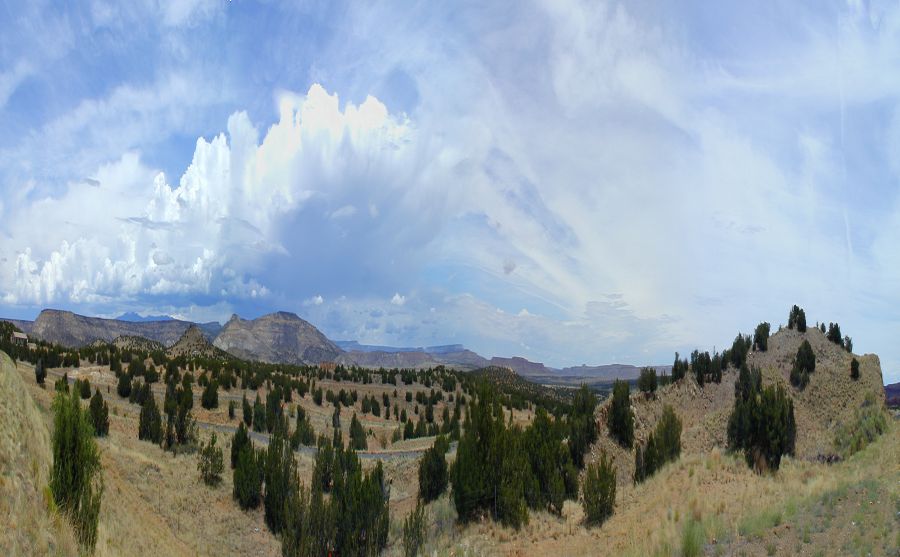 ������������ͼƬ