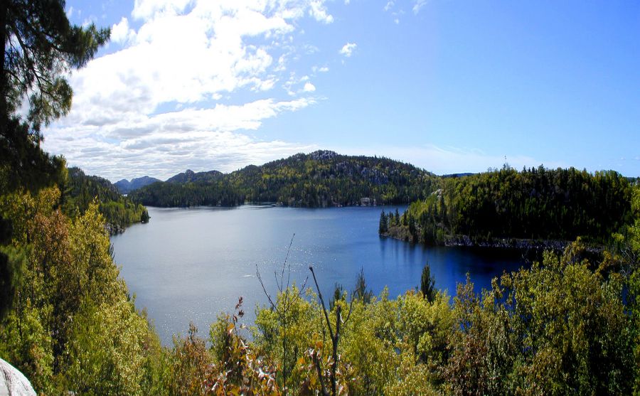 ǿ������ͼƬ