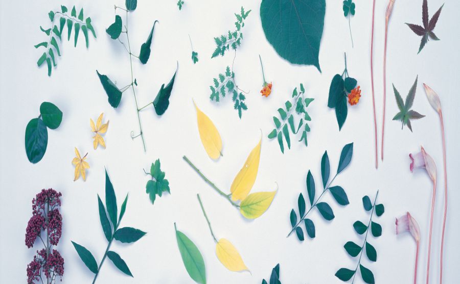 �й�����Ա������Ѷ��ͼƬ