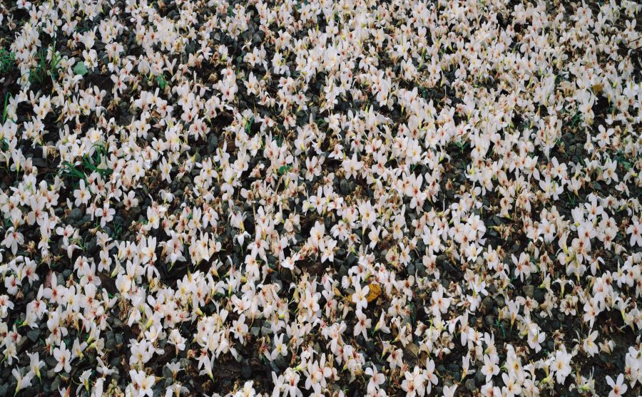 �����˳�ͼƬ