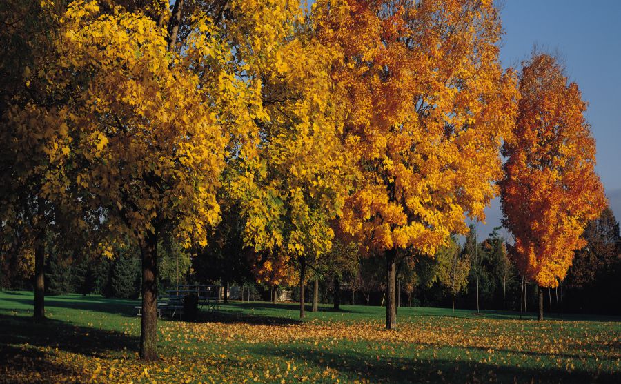 ����ҽ�ƴ�ѧͼƬ