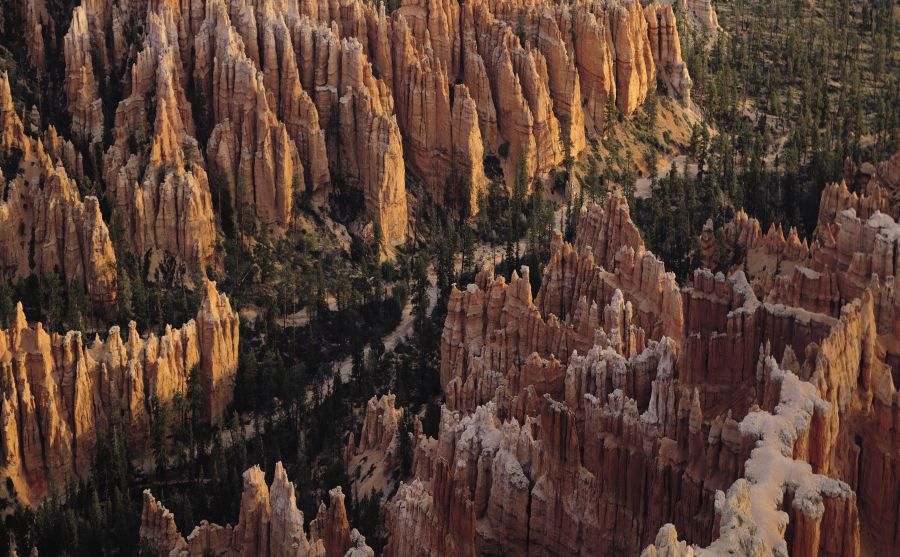 ������ͼƬ