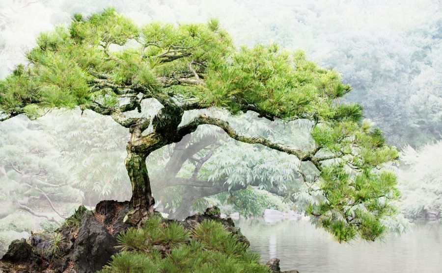 山东移动图片 山东移动图片