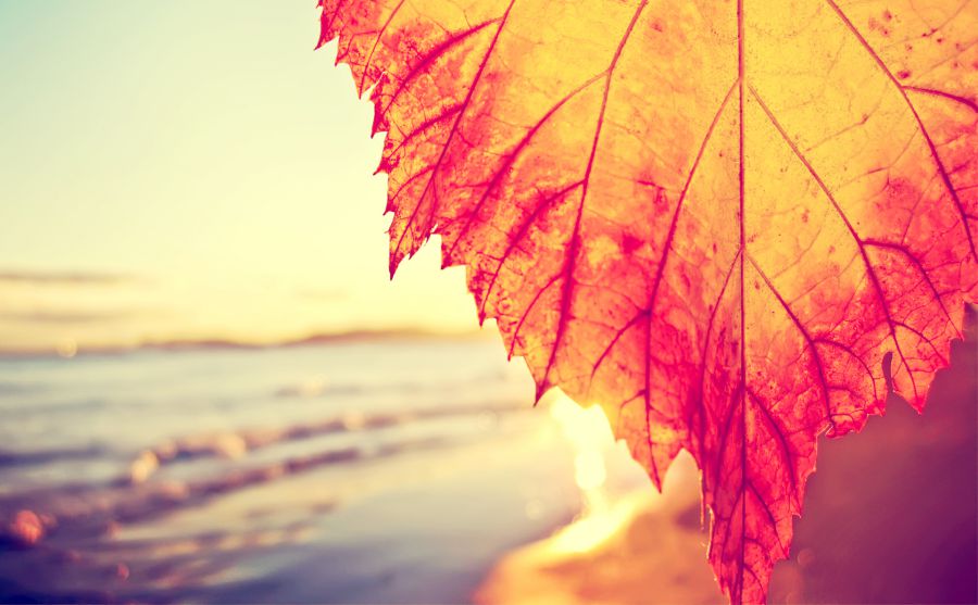 ��۳��д�ѧͼƬ