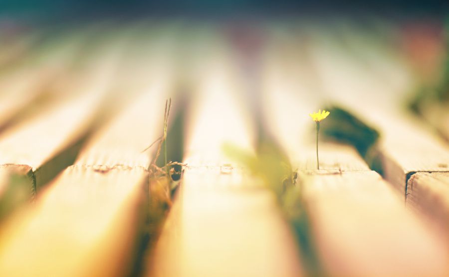 �ۿ۾Ƶ��ؼۻ�ƱͼƬ