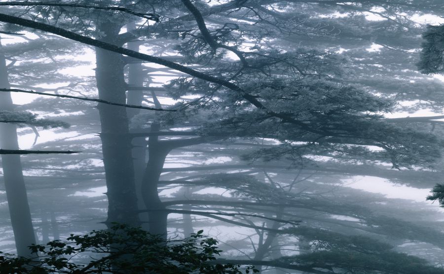 �Ѻ�����ͼƬ