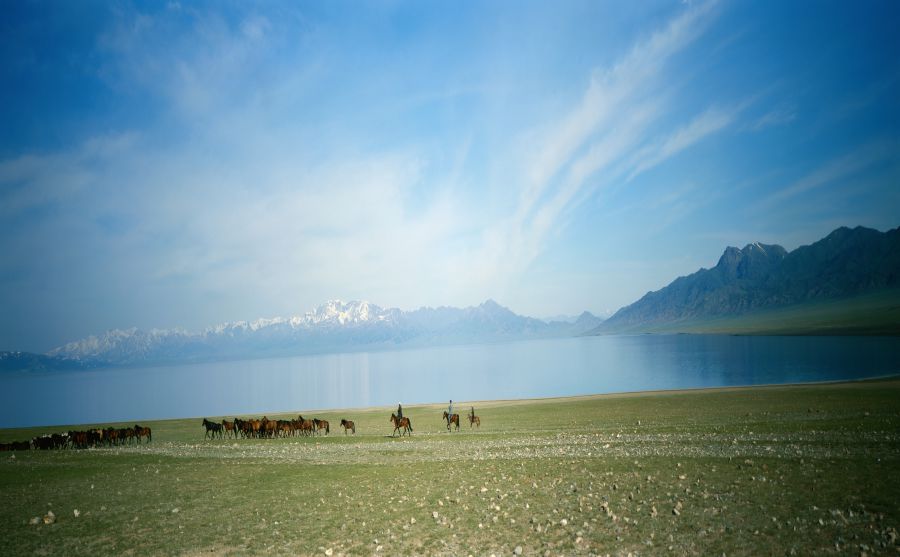 ������ͼƬ