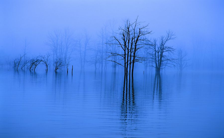 ChinaRenͼ��ͼƬ