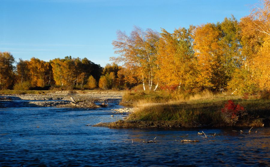 ������ͼƬ