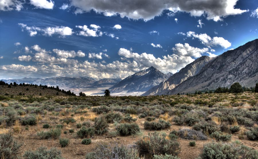 �Ϻ�����ͼƬ