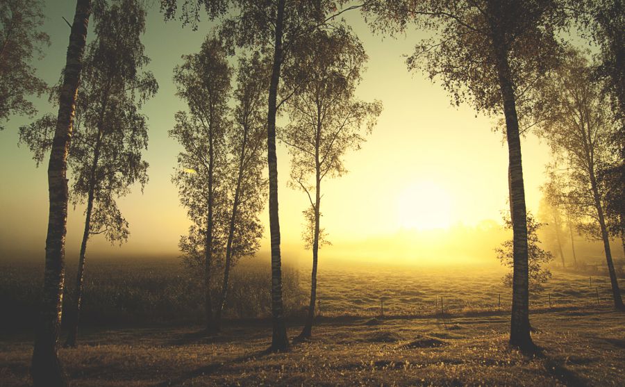 �йش�ͼ�����ͼƬ