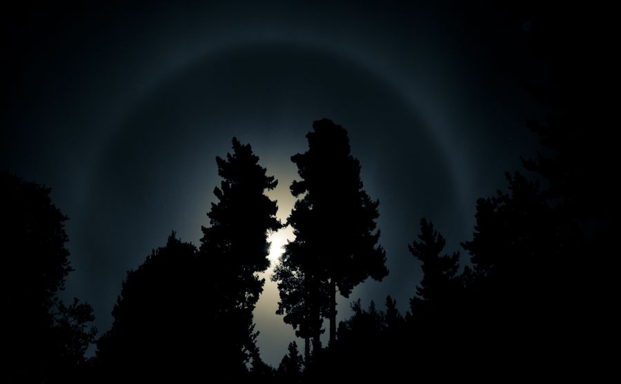 ����������ͼƬ