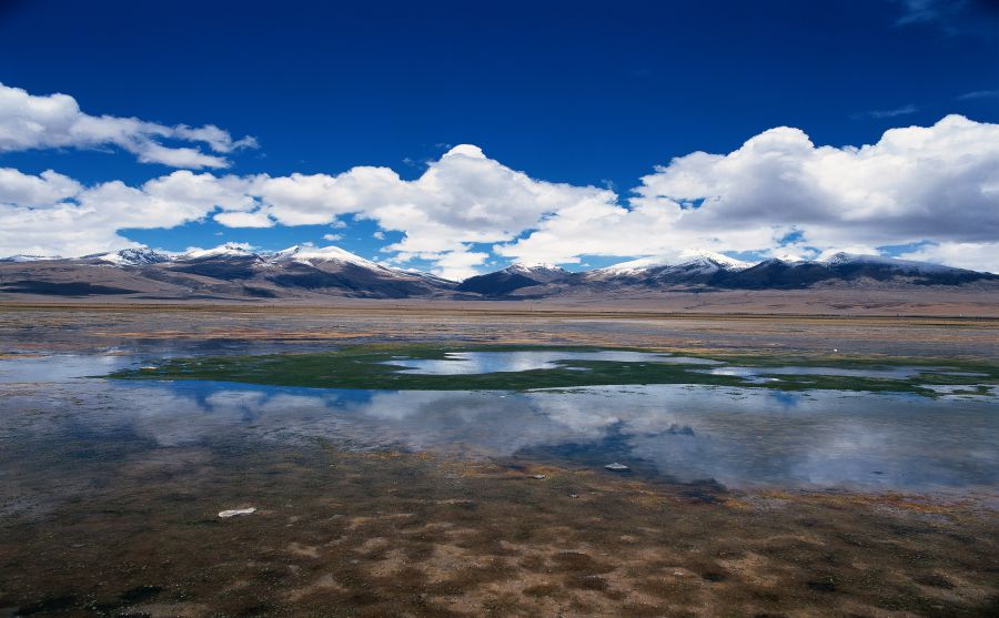 �漣����ͼƬ