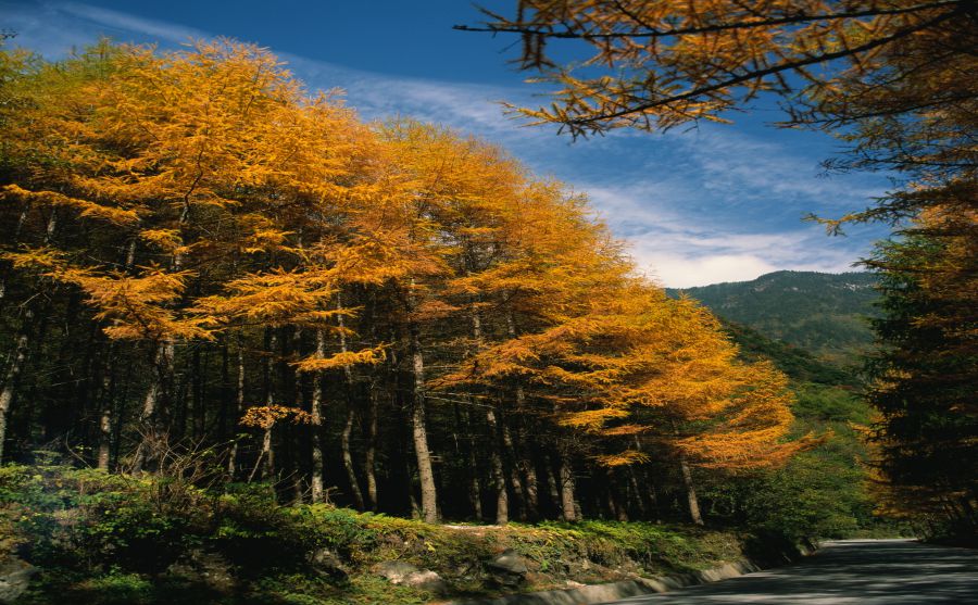 �۴�Ħ�г���ͼƬ