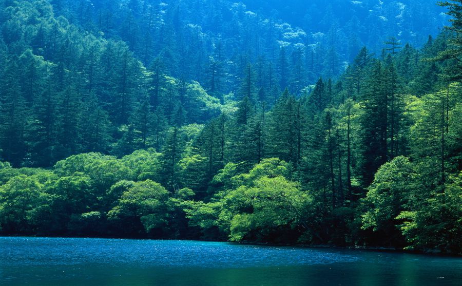 �����ʵ�ѧԺͼƬ