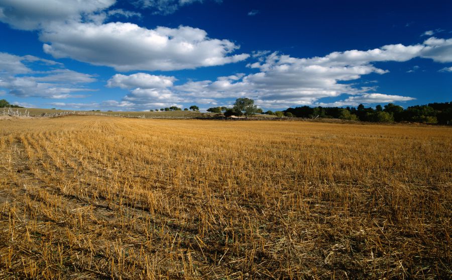 ������ͼƬ