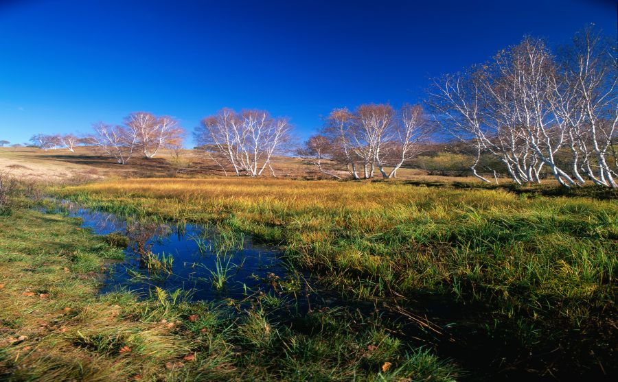 ��һ�μ���ͼƬ