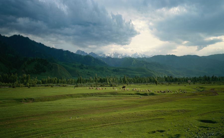 ��������վͼƬ