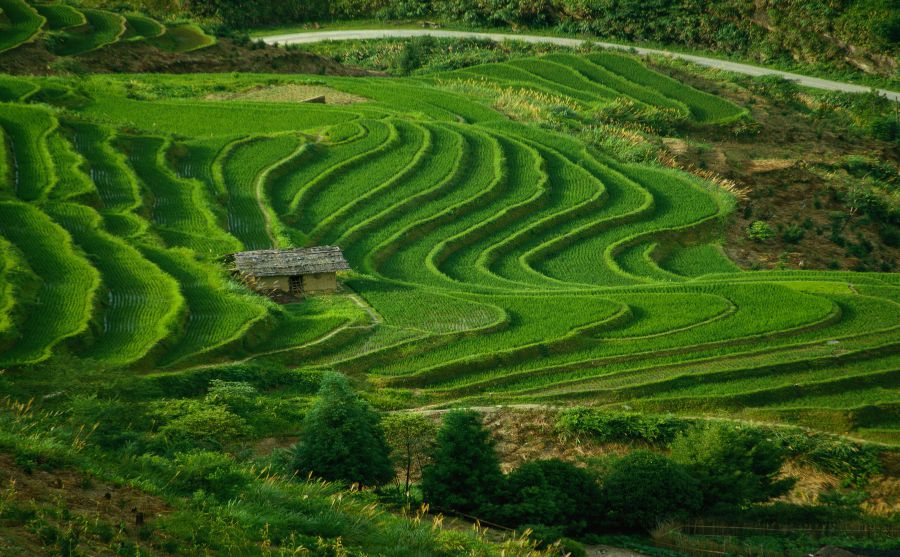 烟台热线图片