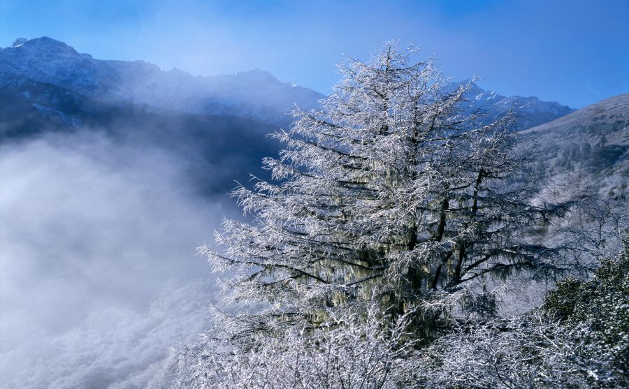 �й���������ͼƬ