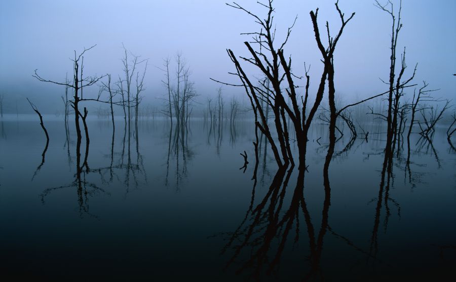 ����������ͼƬ