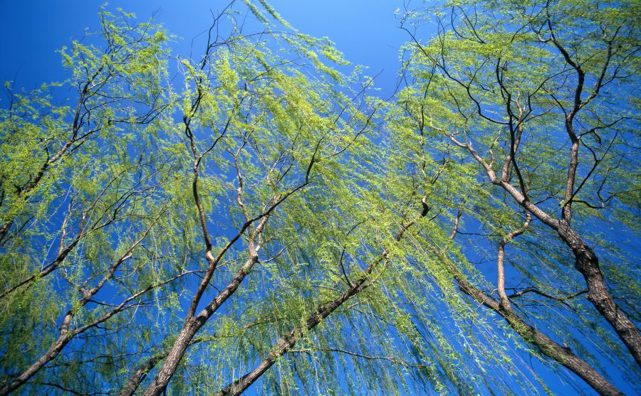 ���ݹ�ѧԺͼƬ