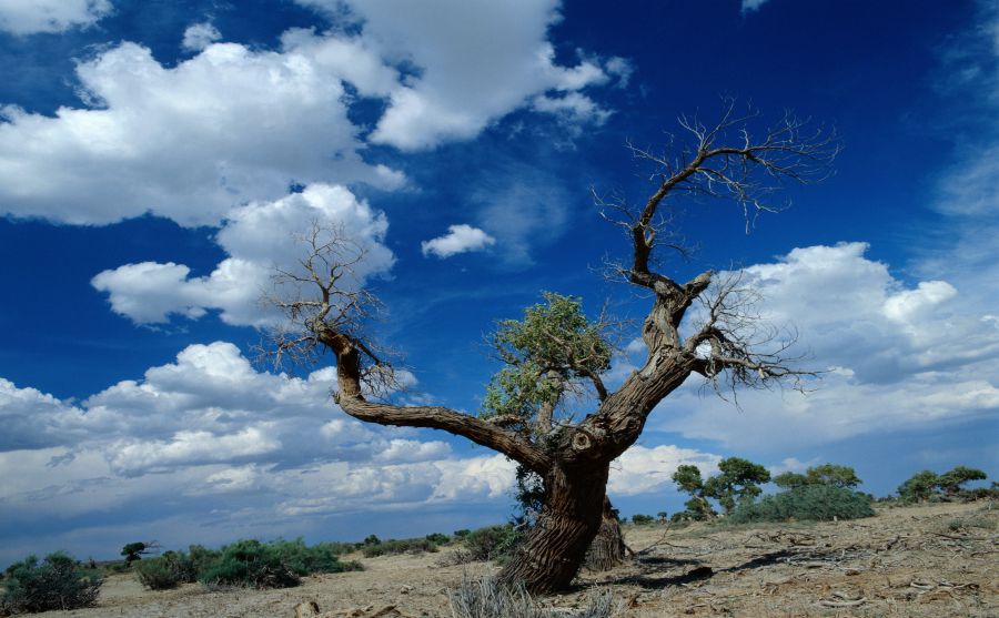 ��������ͨͼƬ