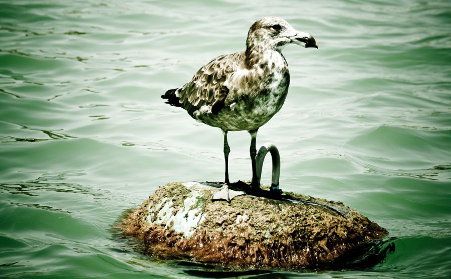 ����ʡ������ͼƬ