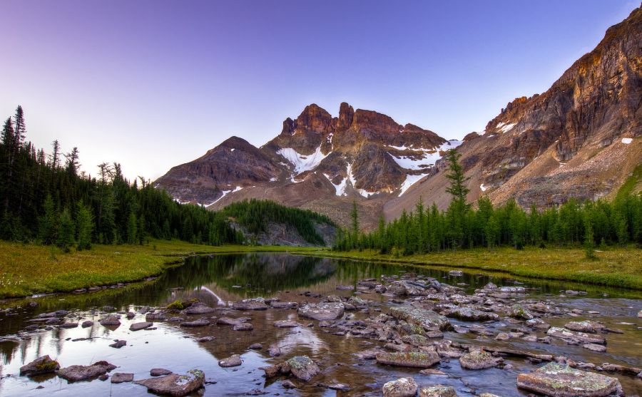 ��������ͼƬ