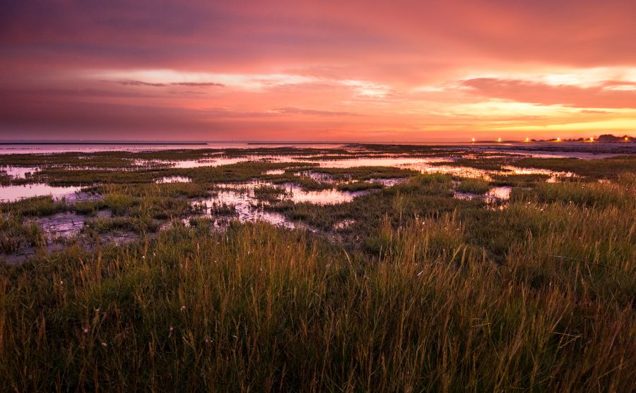 ����ũ����ҵ����ͼƬ