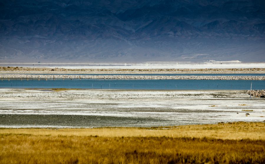 ���ɹ��˲���ͼƬ