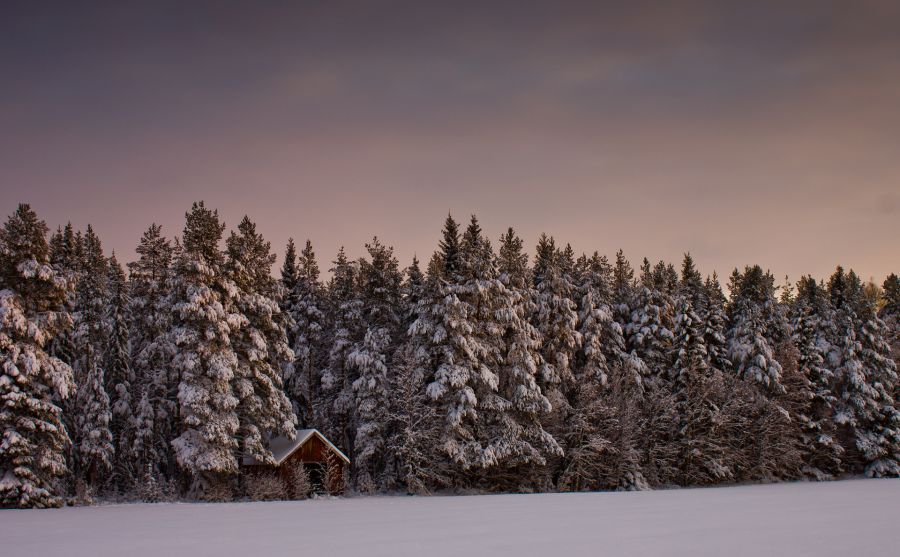 �й�����ѧԺͼƬ