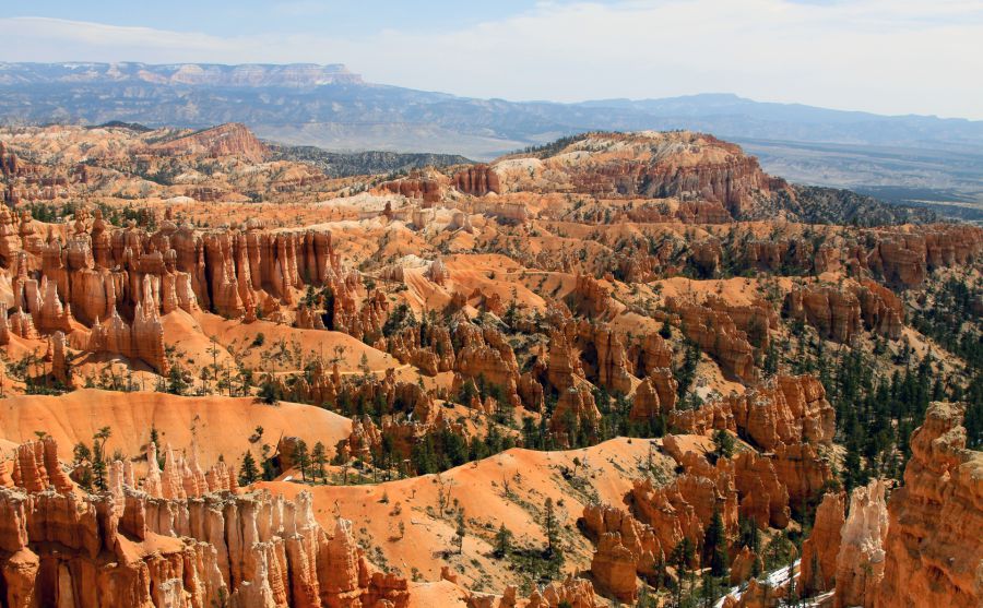 ����������ͼƬ