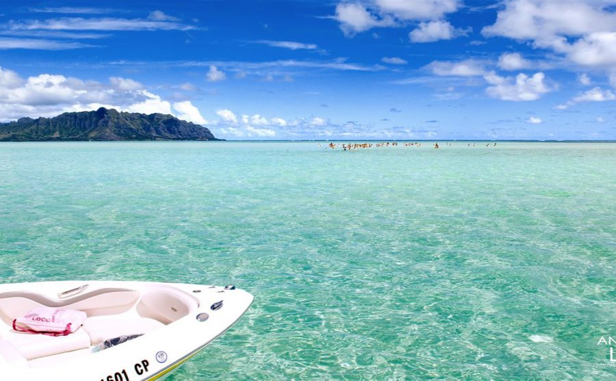 �»�����ͼƬ