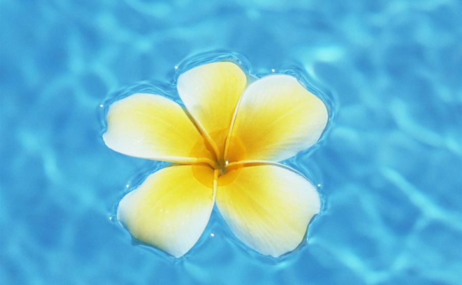 ������ͨͼƬ